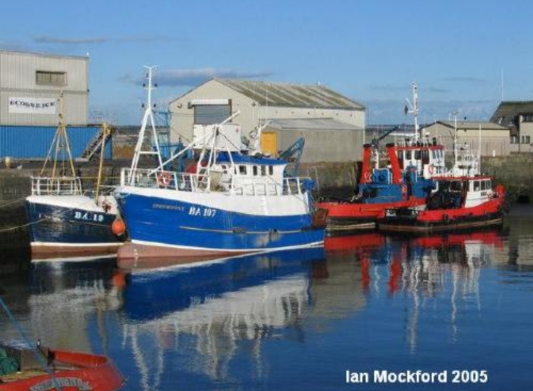 Fish Dock, Troon