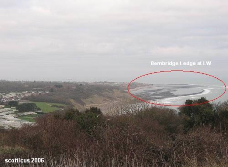 Bembridge Ledges from Whitecliff Bay.