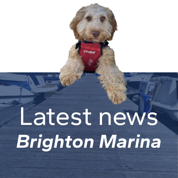 BMYC trials reduced dog-friendly hours