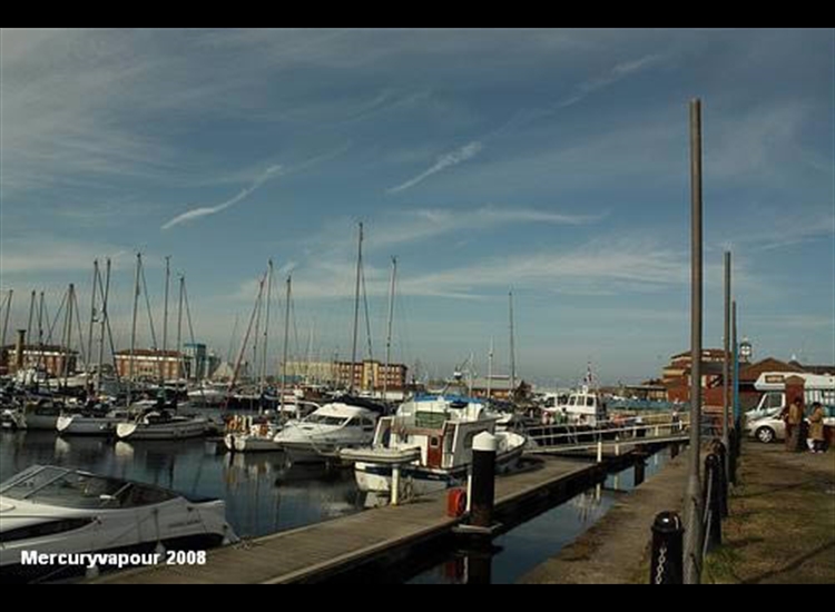 In the Marina 3