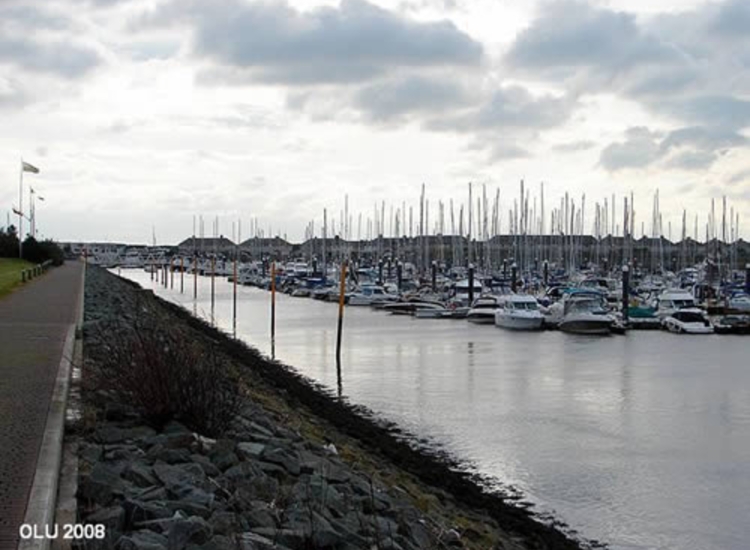 3.The Marina