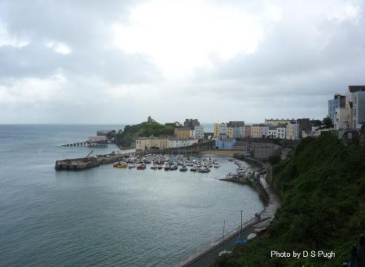 Harbour looking down ESE from the cliffs