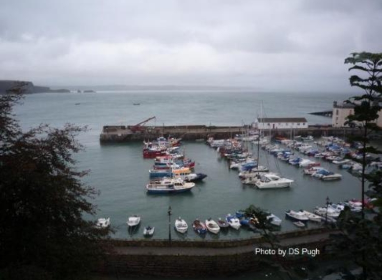 Looking North over Tenby Harbour